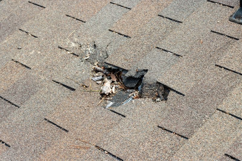 Roof Shingles Replacement in Yulee, FL